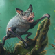Auuughhghgh (Image: Gavin Mouldey)